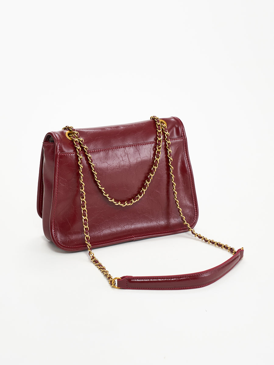Meticulous-Chain Bag Crossbody Bag
